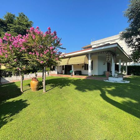 Vitti'S Home Verona Exterior photo
